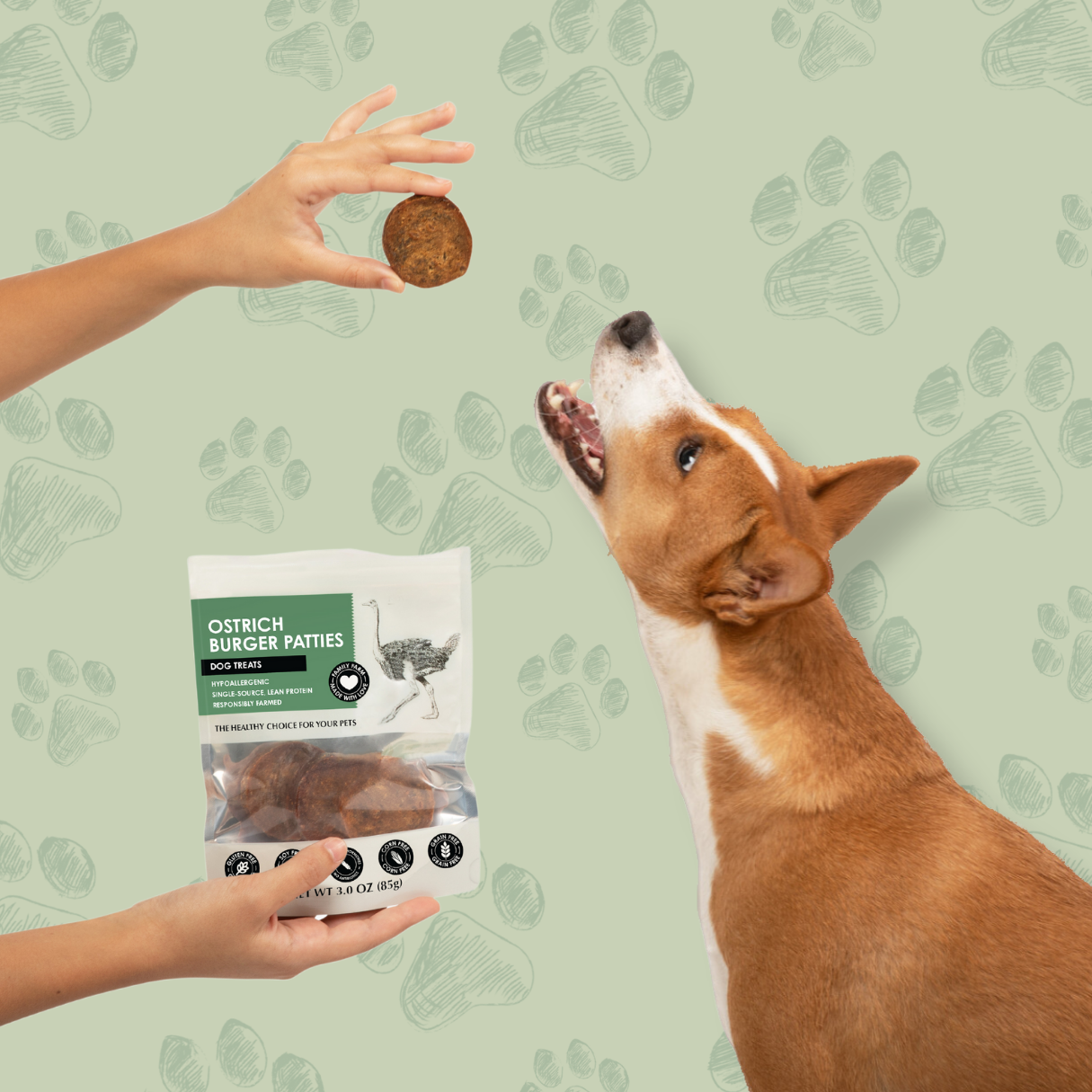 The Novel Protein Company Ostrich Burger Patties Dog