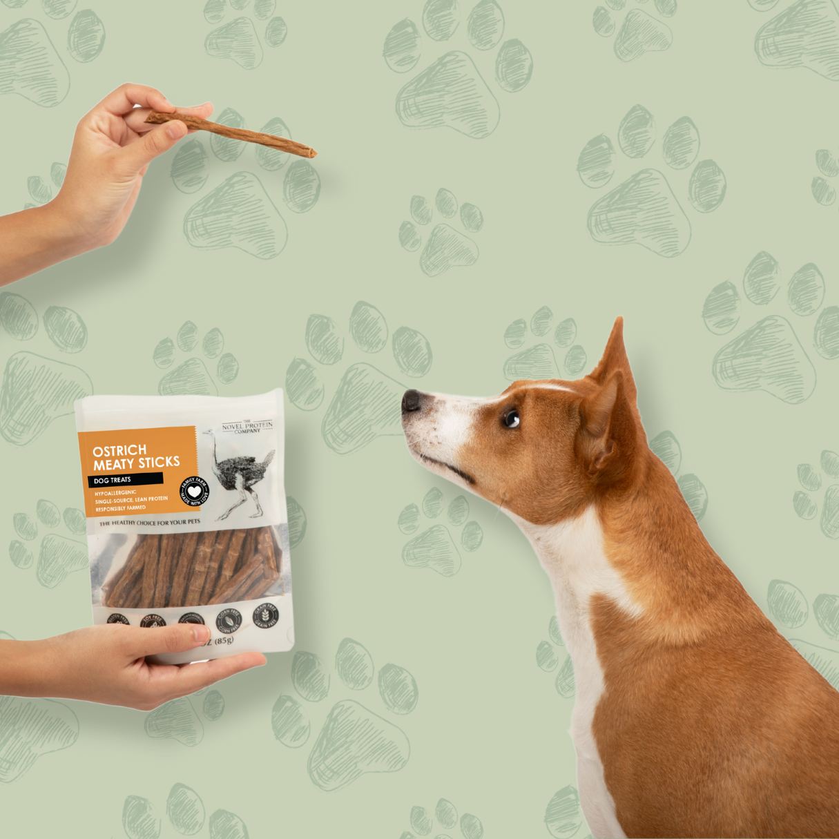 The Novel Protein Company Ostrich Meaty Treats Dog