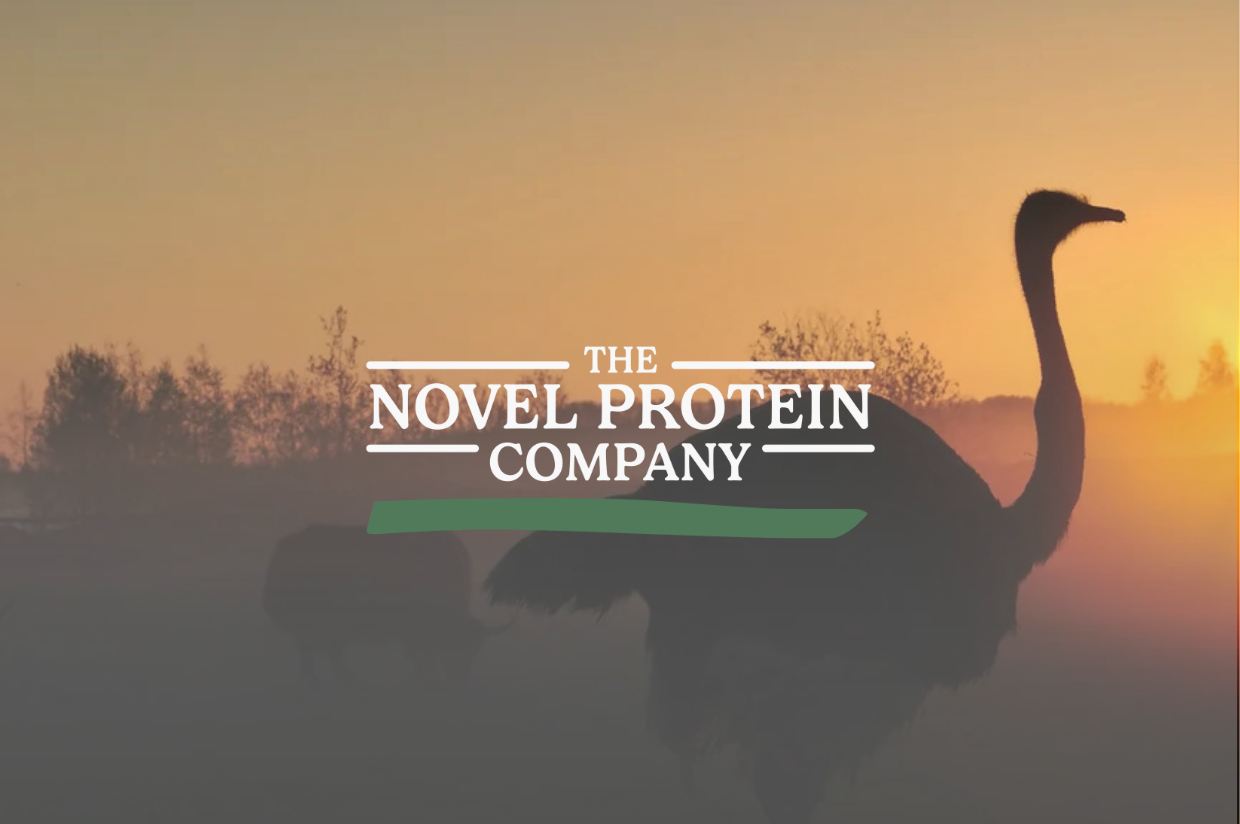 The Novel Protein Company African Sahara Backdrop with Ostriches