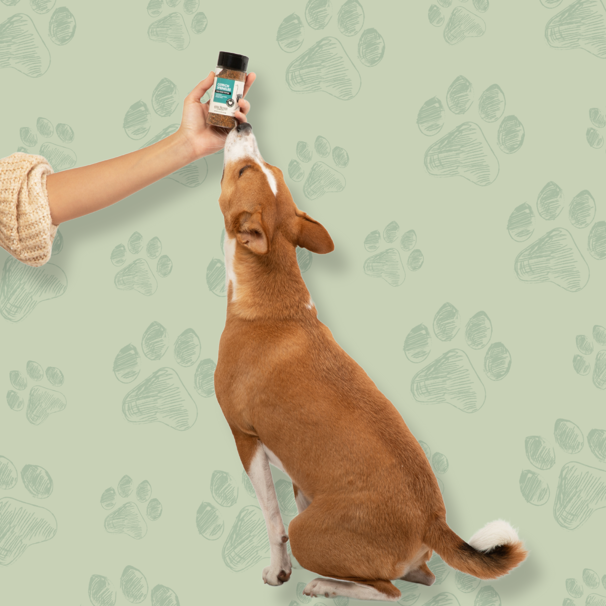 The Novel Protein Company Ostrich Sprinkles Dog Treats