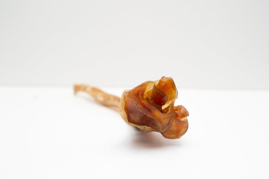 Ostrich Long Tendon