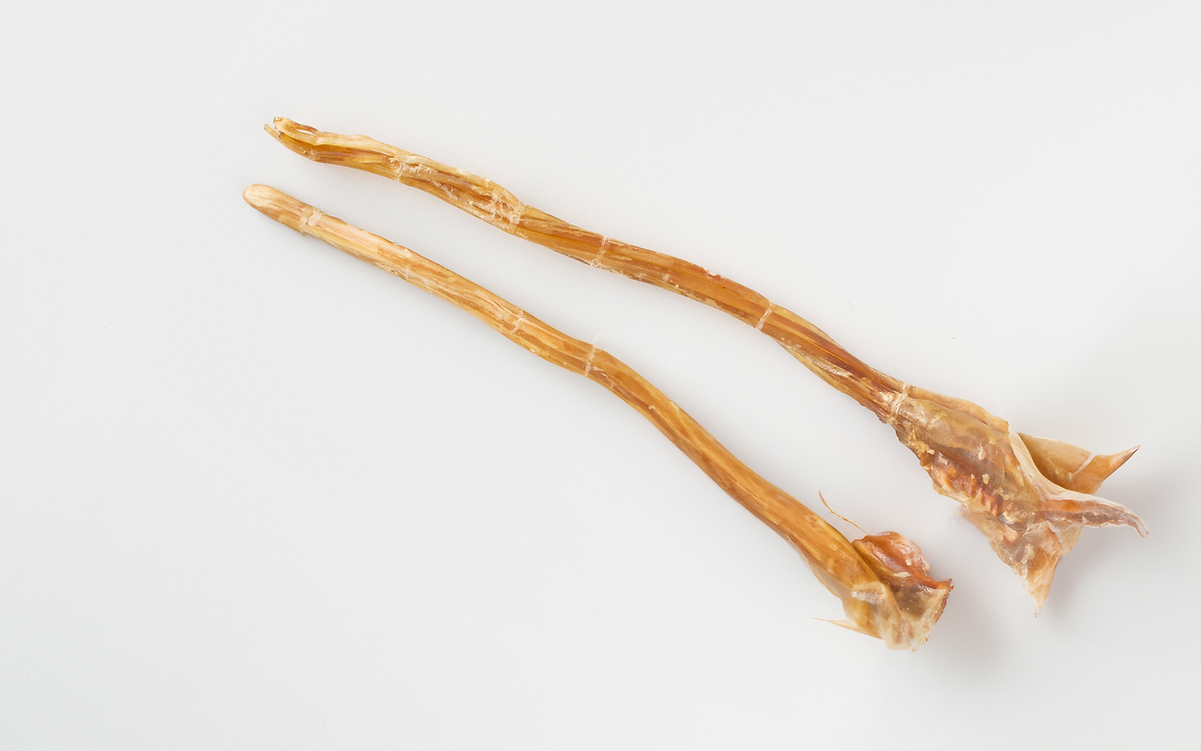 Ostrich Long Tendon