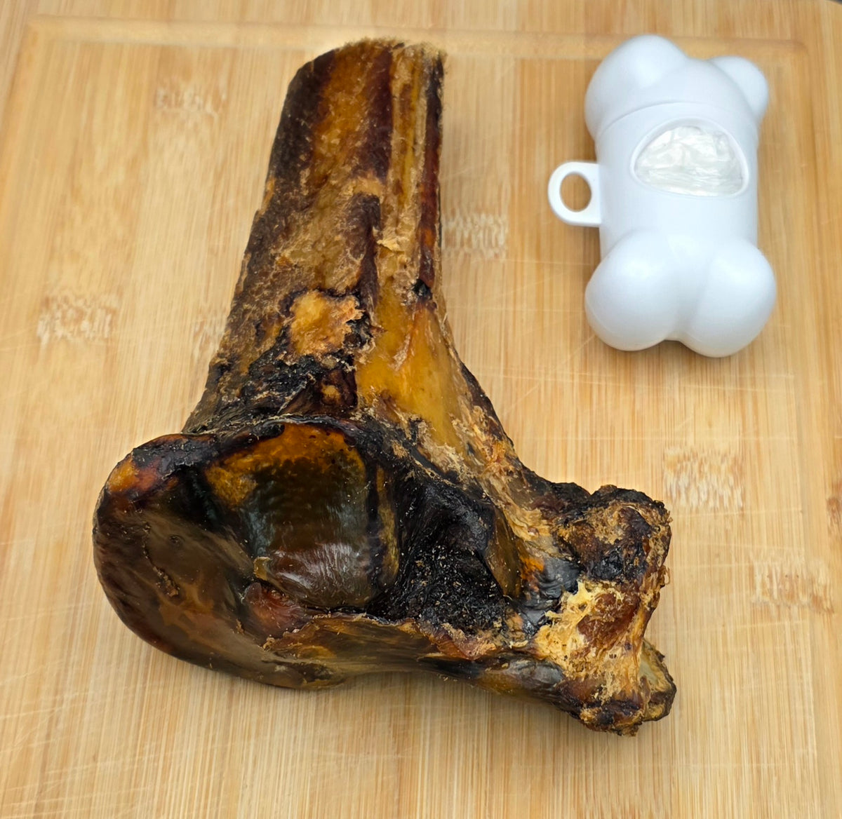 Maxi hip Knuckle and marrow bone