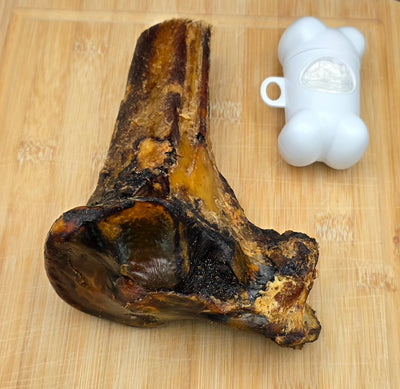 Maxi hip Knuckle and marrow bone