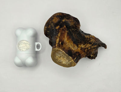 Ostrich Large Knuckles