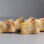 Ostrich Large Toe Bones